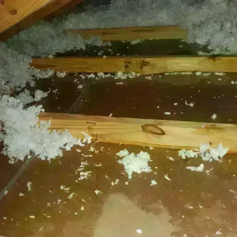 Attic Water Damage in Shinnston, WV